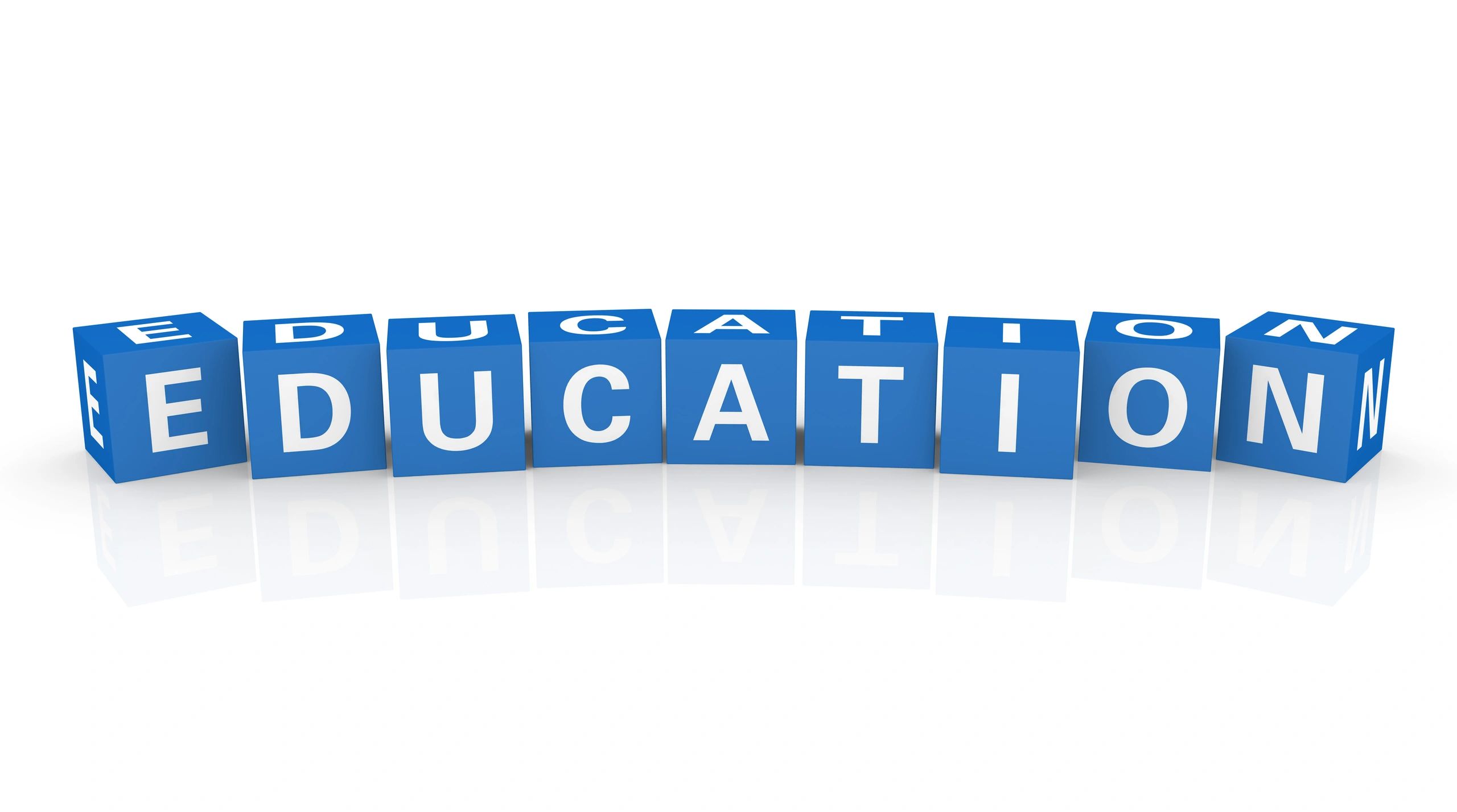 democratic governance education